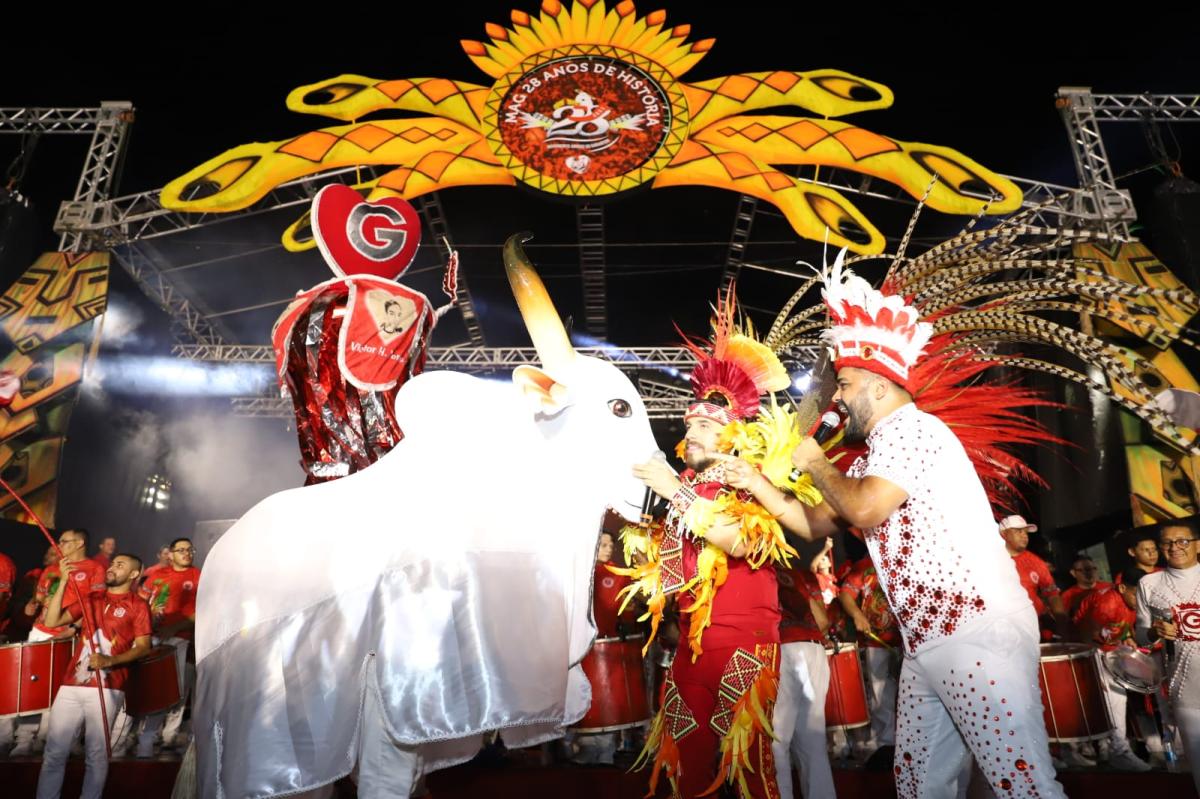Festa dos 28 anos do MAG lota sambódromo de Manaus e emociona galera vermelha e branca