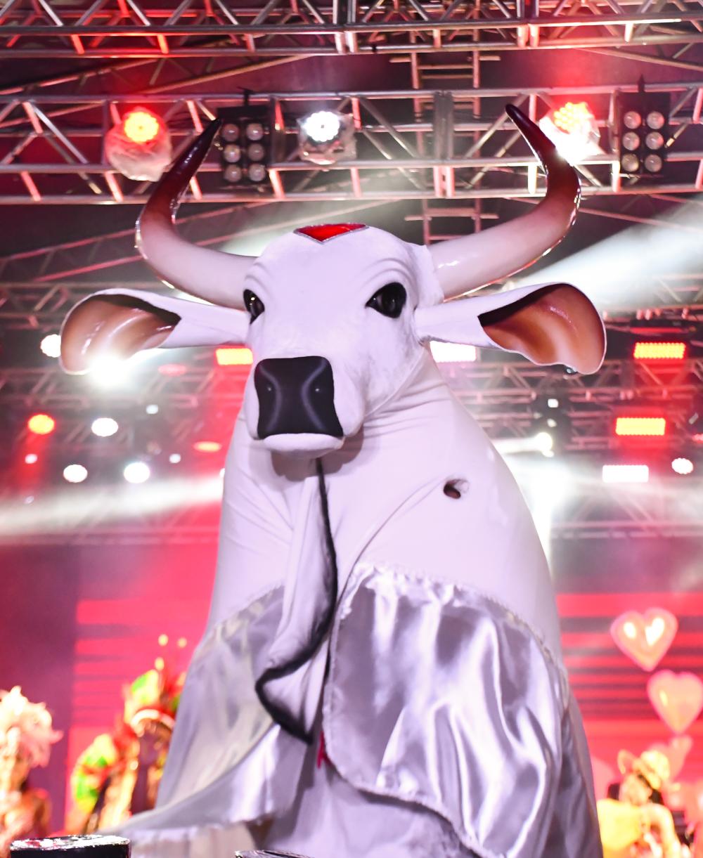 Boi Garantido lança calendário oficial de eventos da temporada 2024