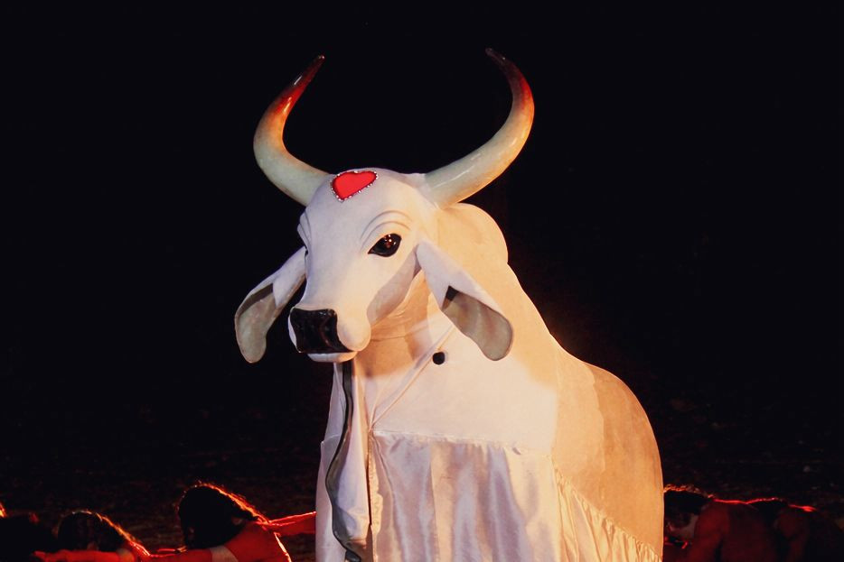 WhatsApp Image 2026-04-04 at 11.12.09.jpeg