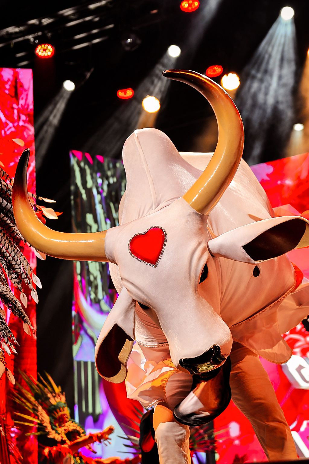 WhatsApp Image 2026-03-13 at 17.20.11 (1).jpeg